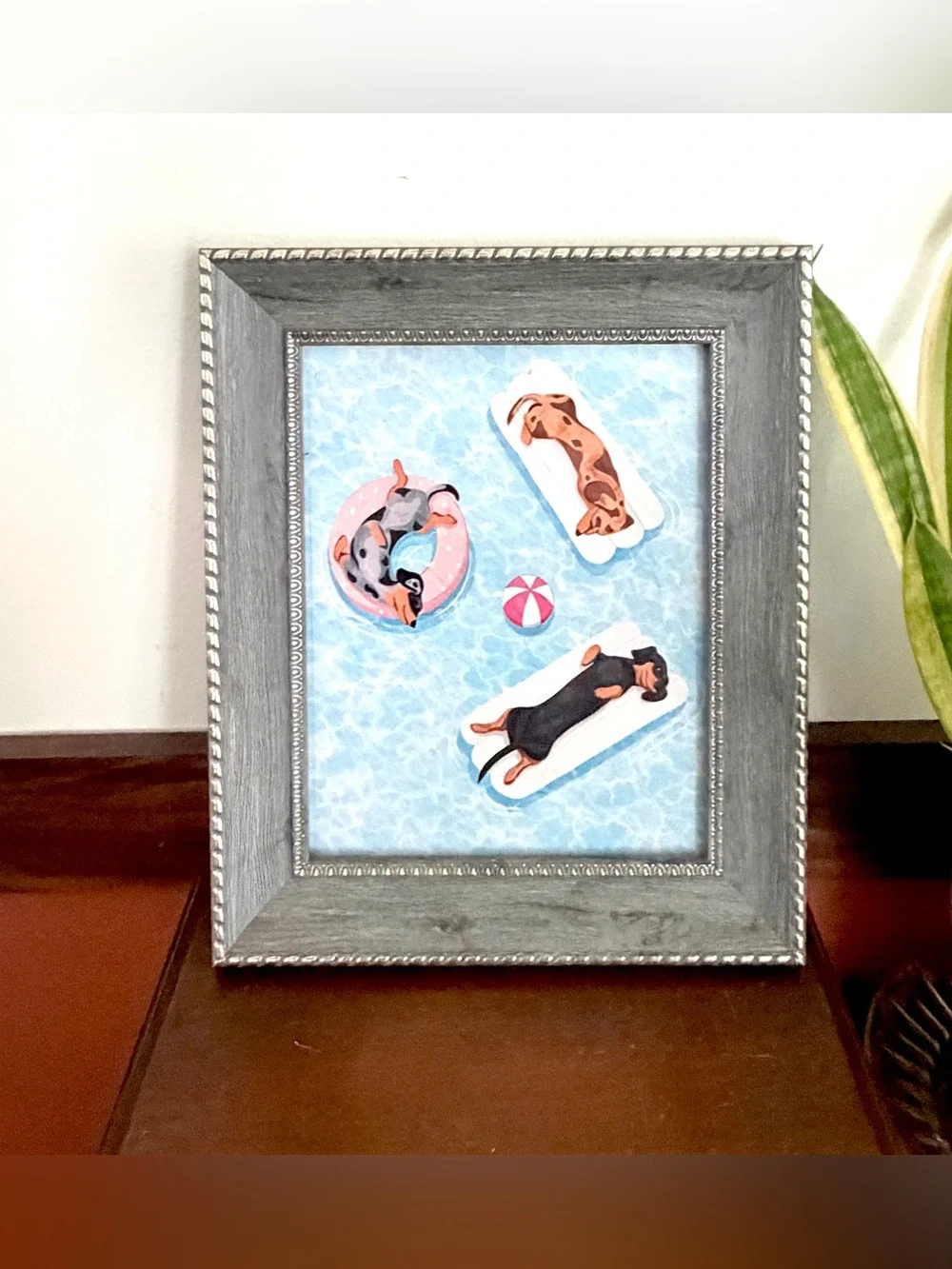 Dachshund Weiner Dogs on Pool Floats Summer Canvas Wall Art Print Gray Framed